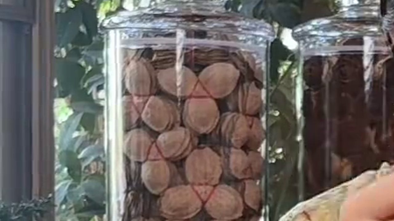 新會陳皮罐特寫：十年大紅皮，油室清晰可見