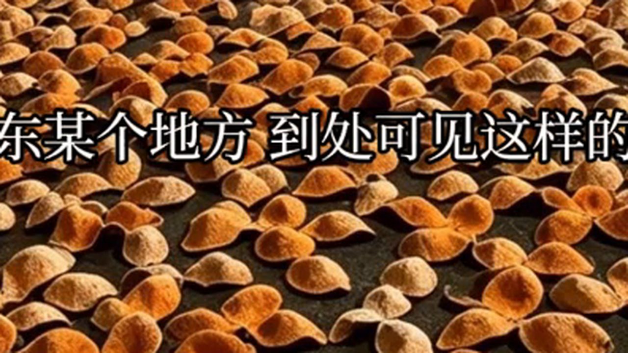 圈枝與駁枝之辨：曬場上成片的茶枝柑皮