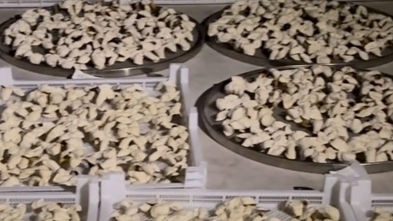 新會曬場上成排柑皮鋪在曬架，夜裡仍在晾