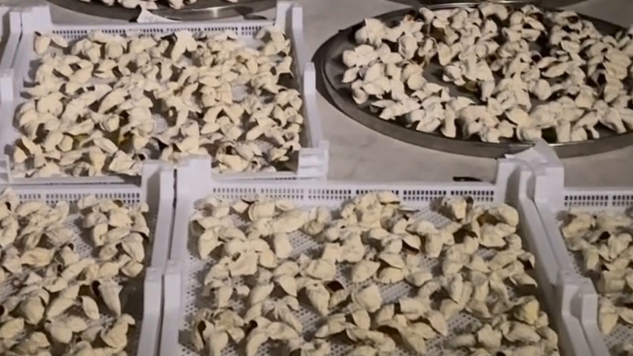 新會屋頂曬場的柑皮特寫，曬架上一片片攤開