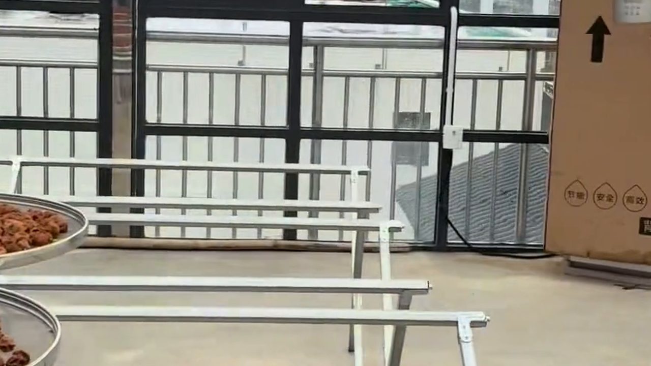 新會陳皮曬房內的金屬架與曬篩