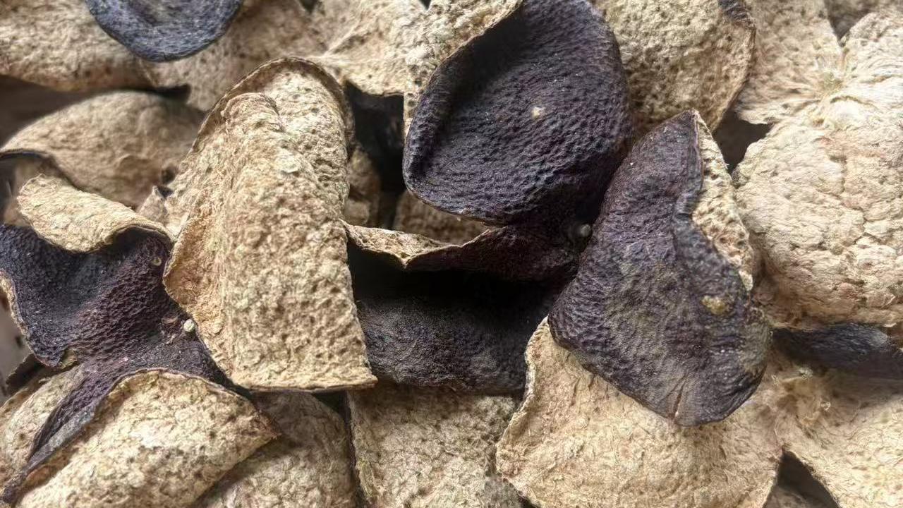 新會陳皮生曬：竹篩上攤開的三瓣柑皮